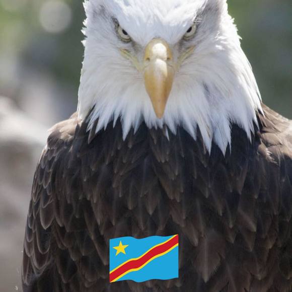 Meet your Posher, Joel - Picture 1 of 1